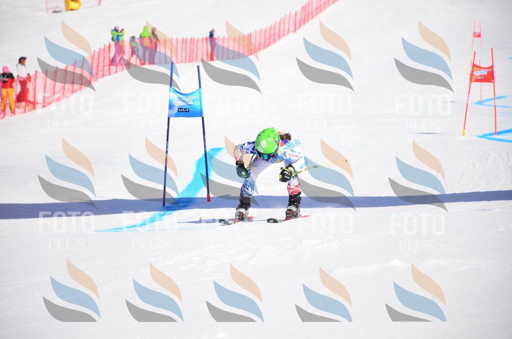 VR4_8790 | holidayphoto