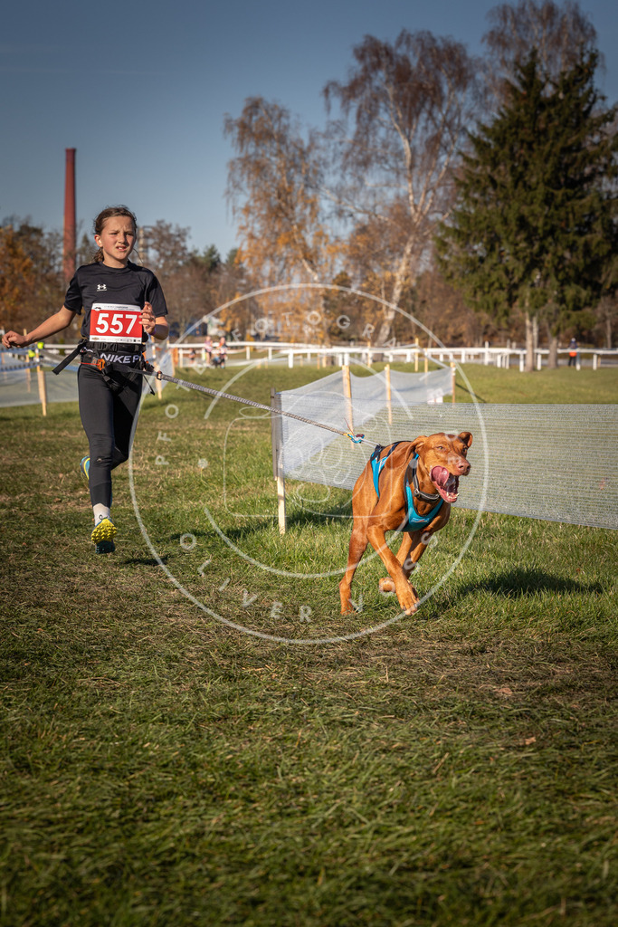 CaniXpix_0L8A7827 | Hundefotografie, Tierfotograf, Pfotenfotografie, Fotoshooting Hund, Hunde Portrait, Hundesport, Hundeportraits, Heideshooting, Hunde, Sportfotograf, Hundefotograf, Turnierhundsport, THS,  - Realisiert mit Pictrs.com