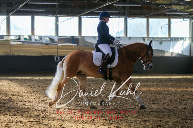 IMG_2103 | Turniersportfotografie; Pferdefotografie; Dressurfotografie