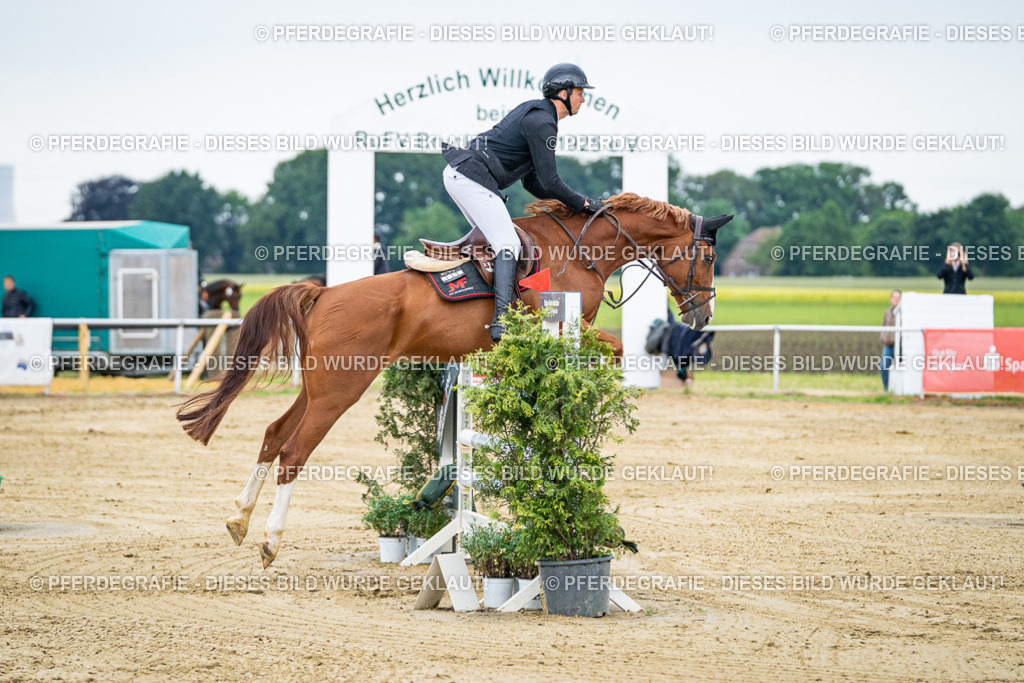 DSC05703 | Pferdegrafie