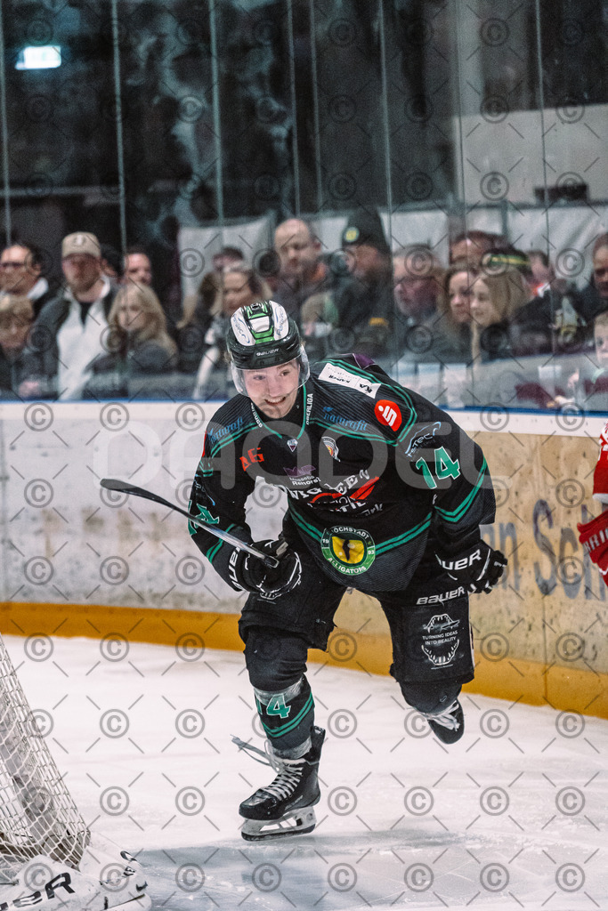 Alligators_vs_Selb_27_02_2026-8 | Höchstadt Alligators Fotogalerie: Eishockey-Action aus Franken. Professionelle Spielfotos, Portraits & Stadionbilder zum Download. Jetzt entdecken! - Realisiert mit Pictrs.com