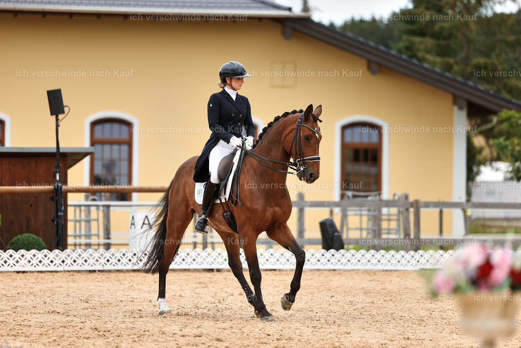 6-001-AMATUER-DRESSUR S_  -StoibPH-3552 | working equitationturnier fotograf videograf stoibphotography marixx film working equitation deutschland reitsport turnierfotografie eventfotografie equestrian events