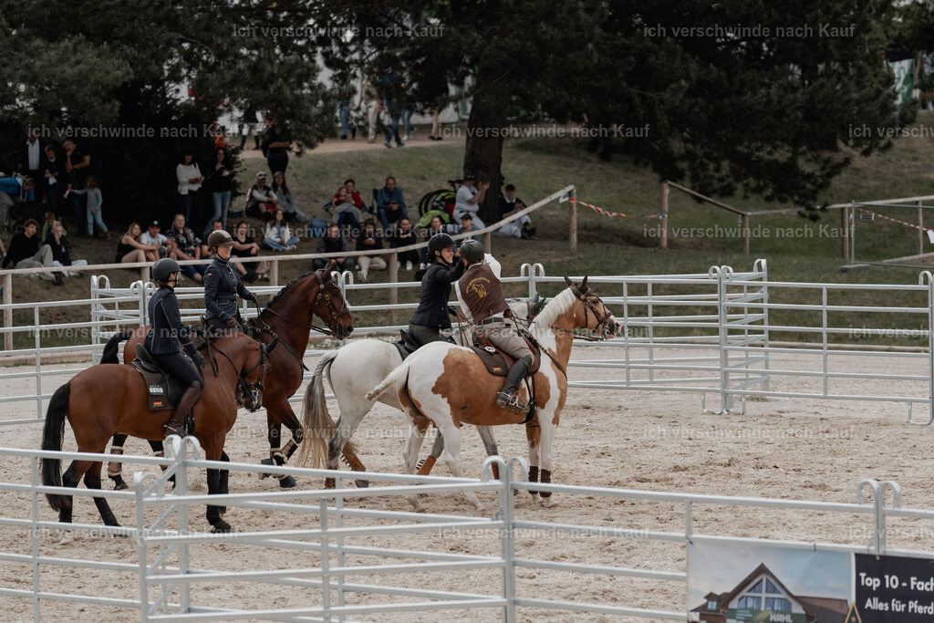 WE__Stoib_Rinder_PI2025_3176 | Pferd International München 2025