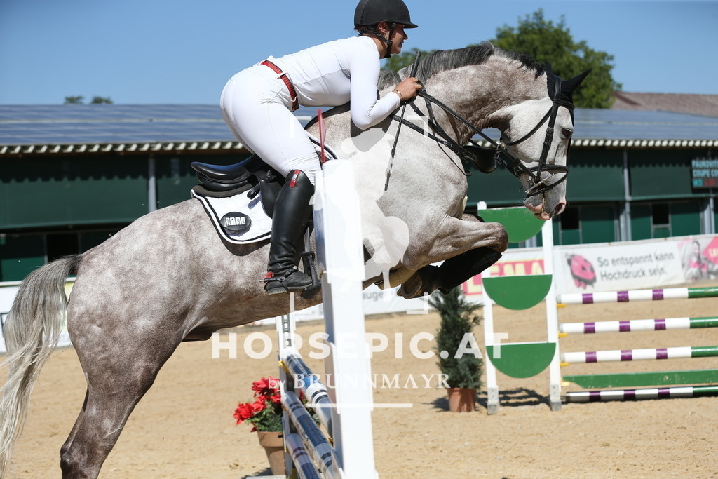 DL2Q9841 | Willkommen bei Brunnmayr - Design & Fotografie – Ihrem Spezialisten für Reitturniere und Pferdeveranstaltungen in Oberösterreich, Salzburg und Bayern! Seit über 17 Jahren sind wir leidenschaftlich dabei.
