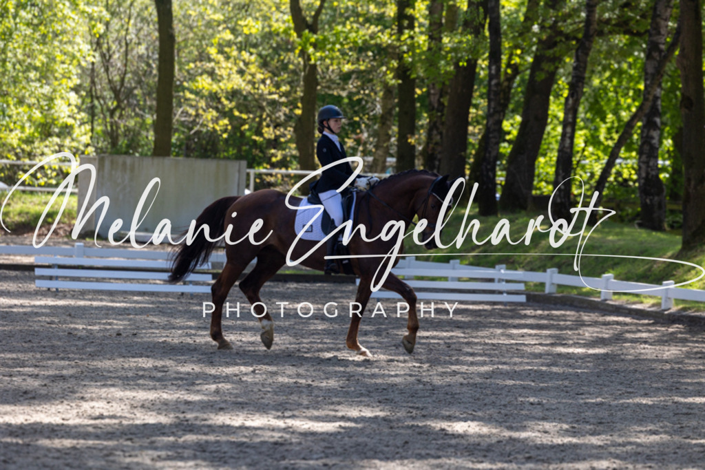 7I8A2612 | melanie-engelhardt-photography - Realisiert mit Pictrs.com