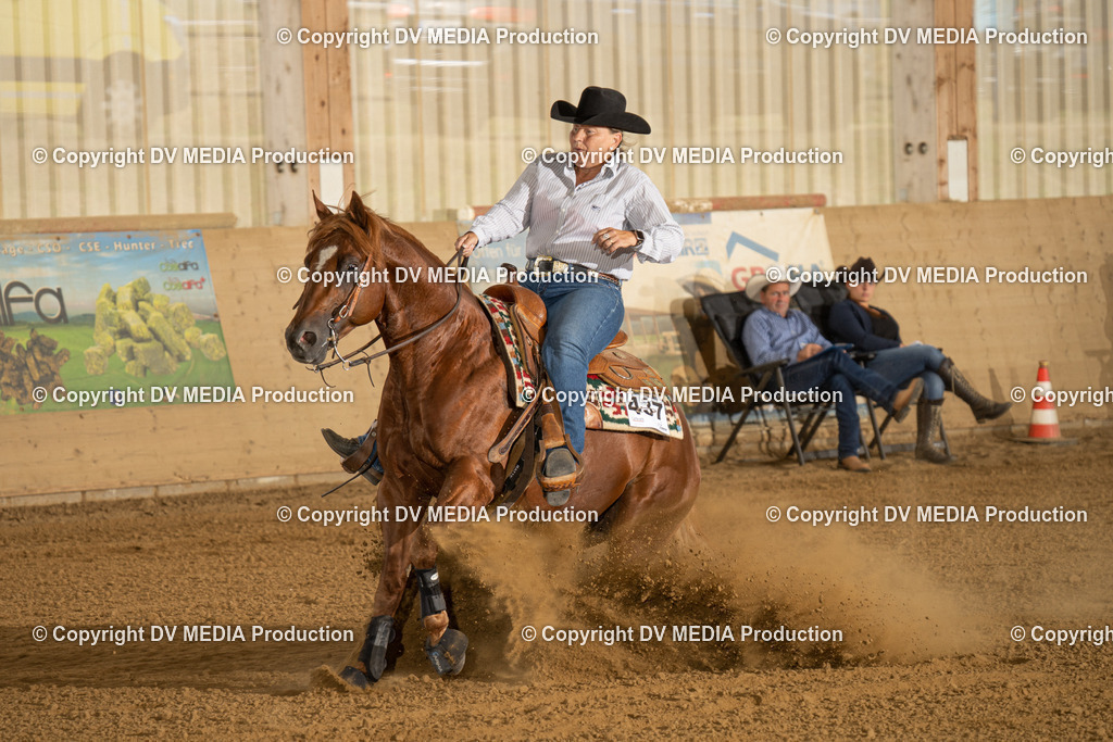 LAU01817 | dv-media-shop - Realisiert mit Pictrs.com