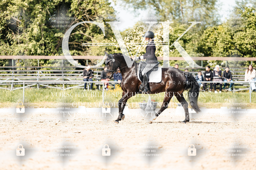 CK900356 | Turnierfotografie Pferdefotografie Trier Rheinland-Pfalz Pferdesport Reitsport Tierfotografie Sportfotografie Pferdevideo Pferdevideografie Equestrianvideography equestrianphotography  - Realisiert mit Pictrs.com