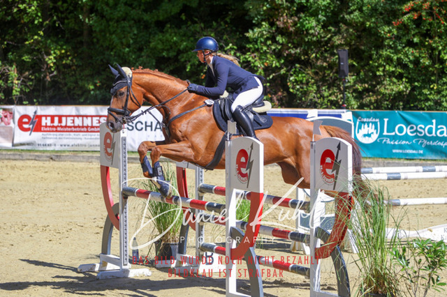 DKP43173 | Deine Turnierfotos vom Reitturnier online kaufen: Dressur, Springen & Siegerehrung. Professionelle Pferdefotografie aus dem Rheinland – als Download & Print.Alternative: Turnierfotograf für den Pferdesport: Finde deine Fotos von Dressur- und Springturnier