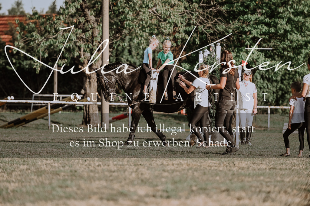 DSC_9918 | Pferde- und Turnierfotografie in Westsachsen. Pferdeportraits, Auftragszeichnungen und intuitive Kunst.