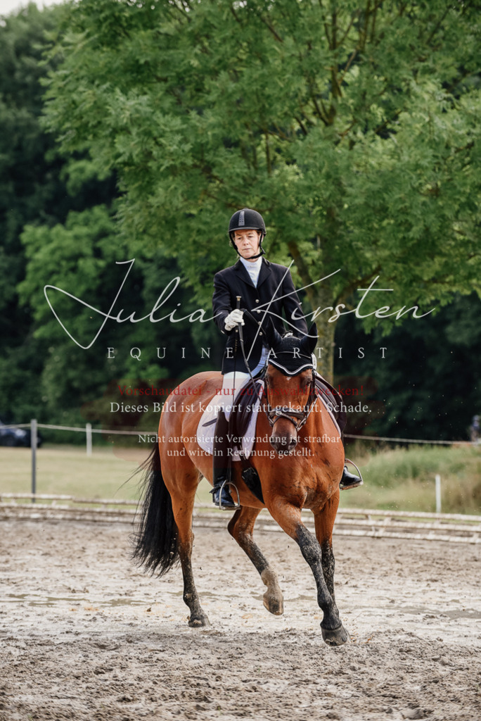 DSC_9745 | Pferde- und Turnierfotografie in Westsachsen. Pferdeportraits, Auftragszeichnungen und intuitive Kunst.