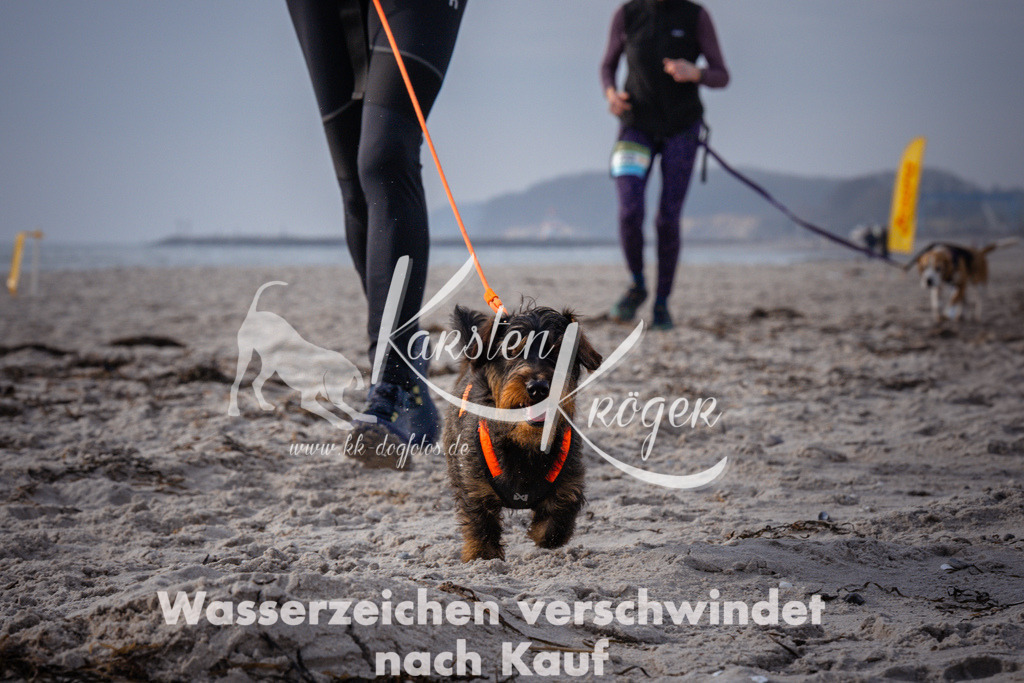 1021_ZZ95060 | kk-dogfotos