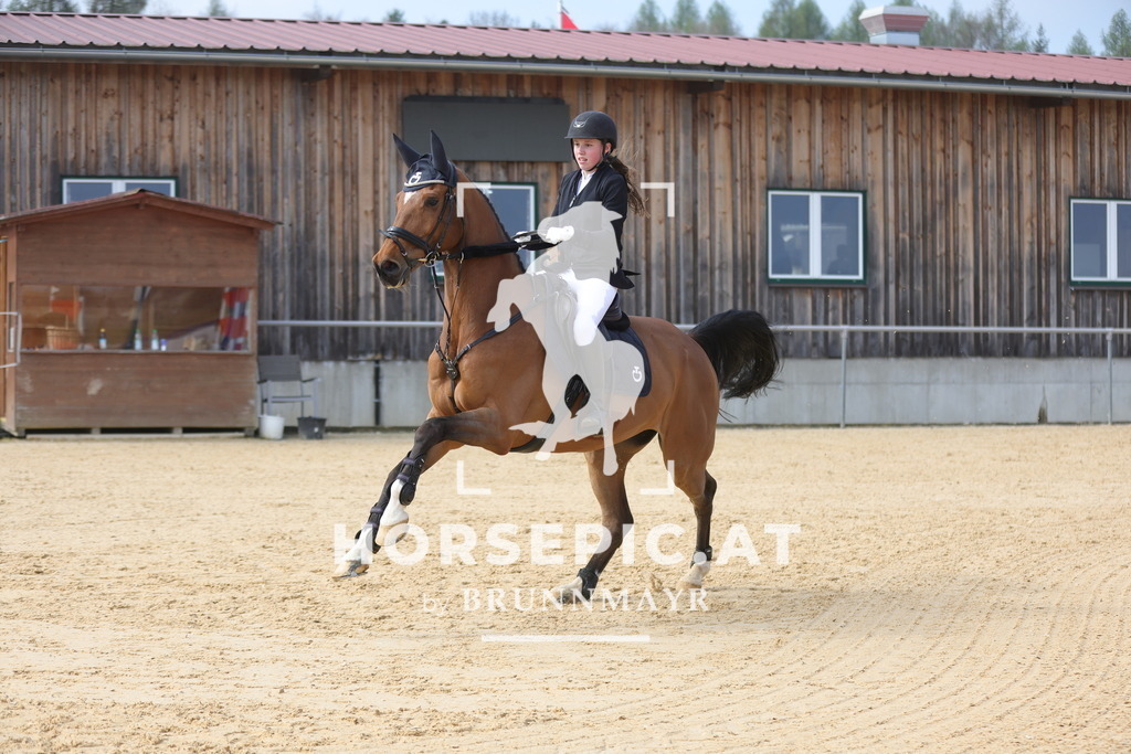 0P6A9289 | Willkommen bei Brunnmayr - Design & Fotografie – Ihrem Spezialisten für Reitturniere und Pferdeveranstaltungen in Oberösterreich, Salzburg und Bayern! Seit über 17 Jahren sind wir leidenschaftlich dabei.