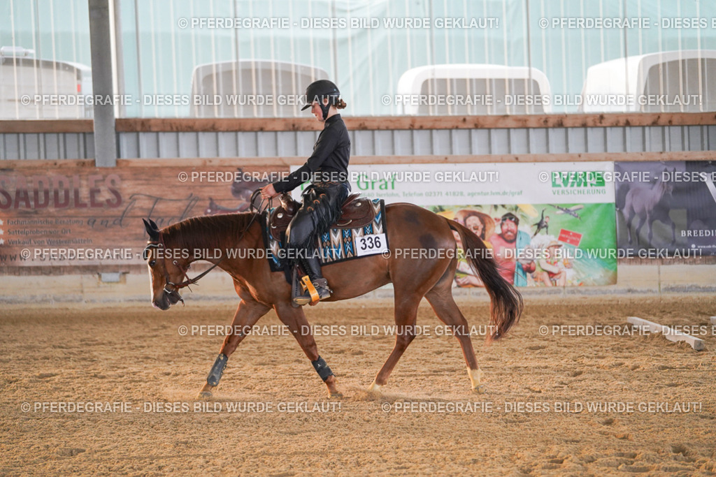 DSC08779 | Pferdegrafie