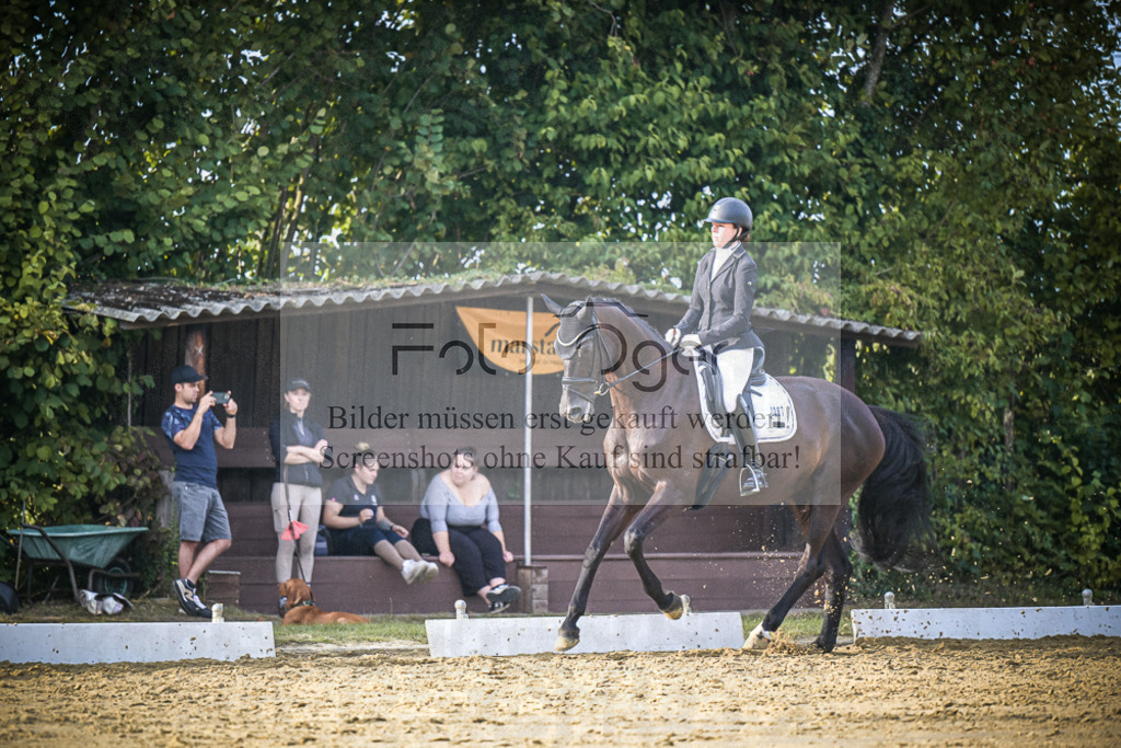 DOS_1039 | Entdecke hochwertige Reitturnierfotos von Foto Oger. Professionell, emotional und authentisch – jetzt Lieblingsmomente im Shop bestellen.Deutschlandweite Turnierfotografie. - Realisiert mit Pictrs.com