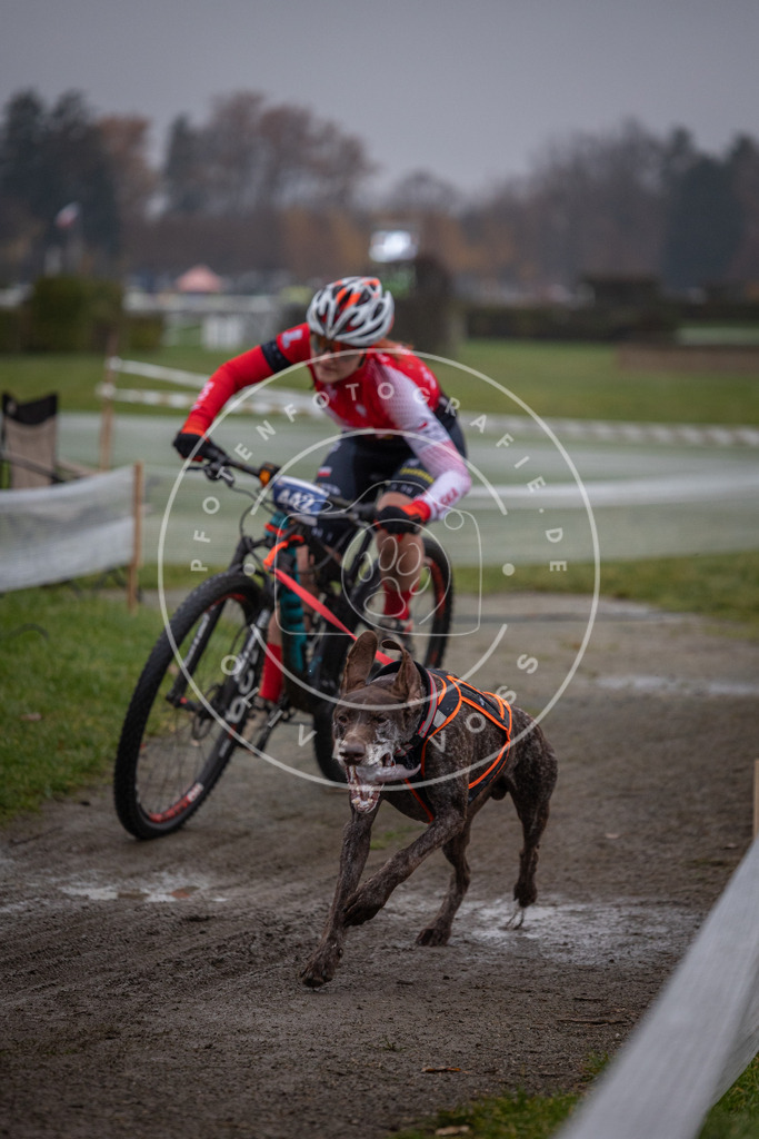 CaniXpix_0L8A1407 | Hundefotografie, Tierfotograf, Pfotenfotografie, Fotoshooting Hund, Hunde Portrait, Hundesport, Hundeportraits, Heideshooting, Hunde, Sportfotograf, Hundefotograf, Turnierhundsport, THS,  - Realisiert mit Pictrs.com