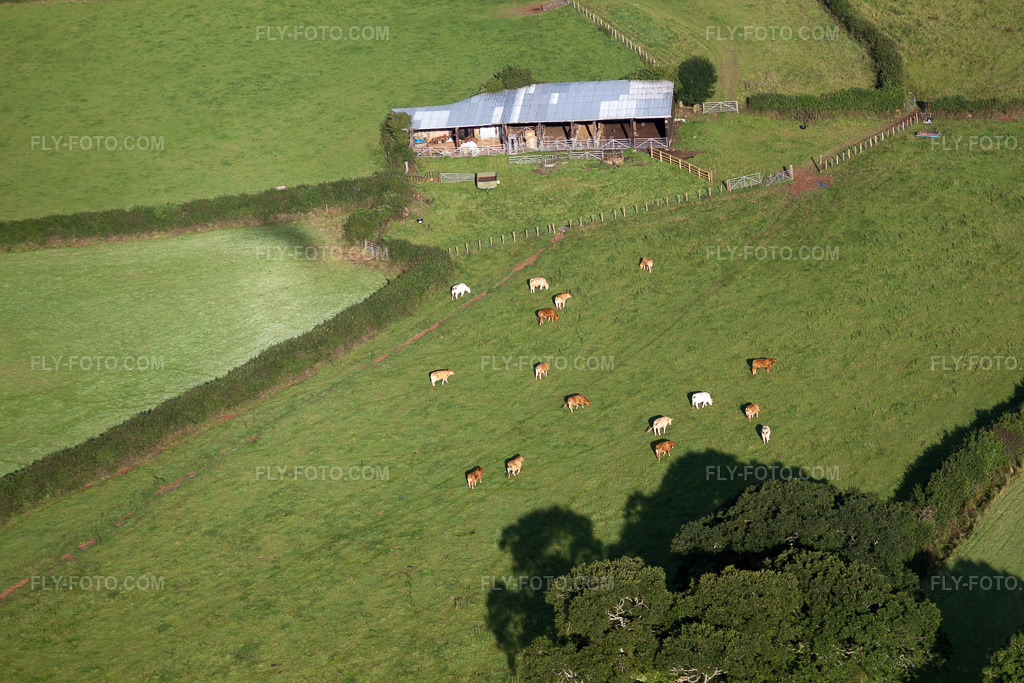 Aerial view: View of the town in Abbotskerswell in the state England, Great Britain. – Photo: IMG_19730.jpg taken on 07/25/2009 by Werner Riehm/FLY-FOTO.com – Resolution of the original: 4752 x 3168 px
