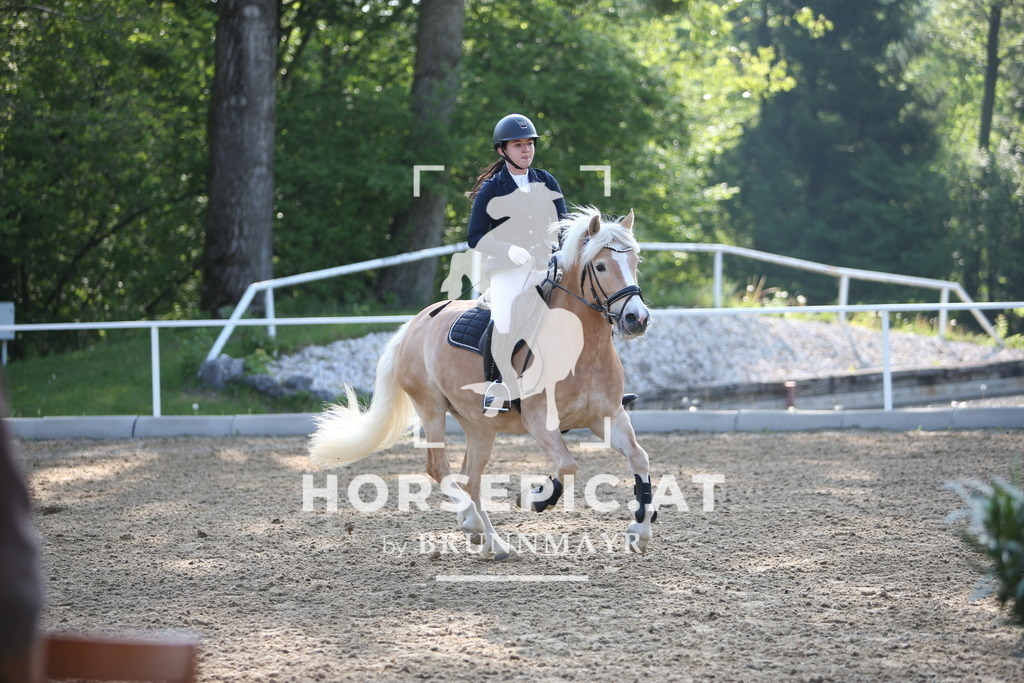 PP018826 | Willkommen bei Brunnmayr - Design & Fotografie – Ihrem Spezialisten für Reitturniere und Pferdeveranstaltungen in Oberösterreich, Salzburg und Bayern! Seit über 17 Jahren sind wir leidenschaftlich dabei.