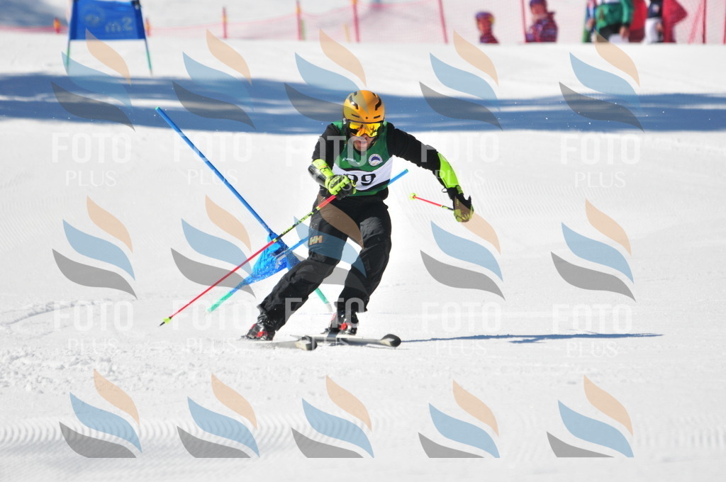 C3343 | holidayphoto