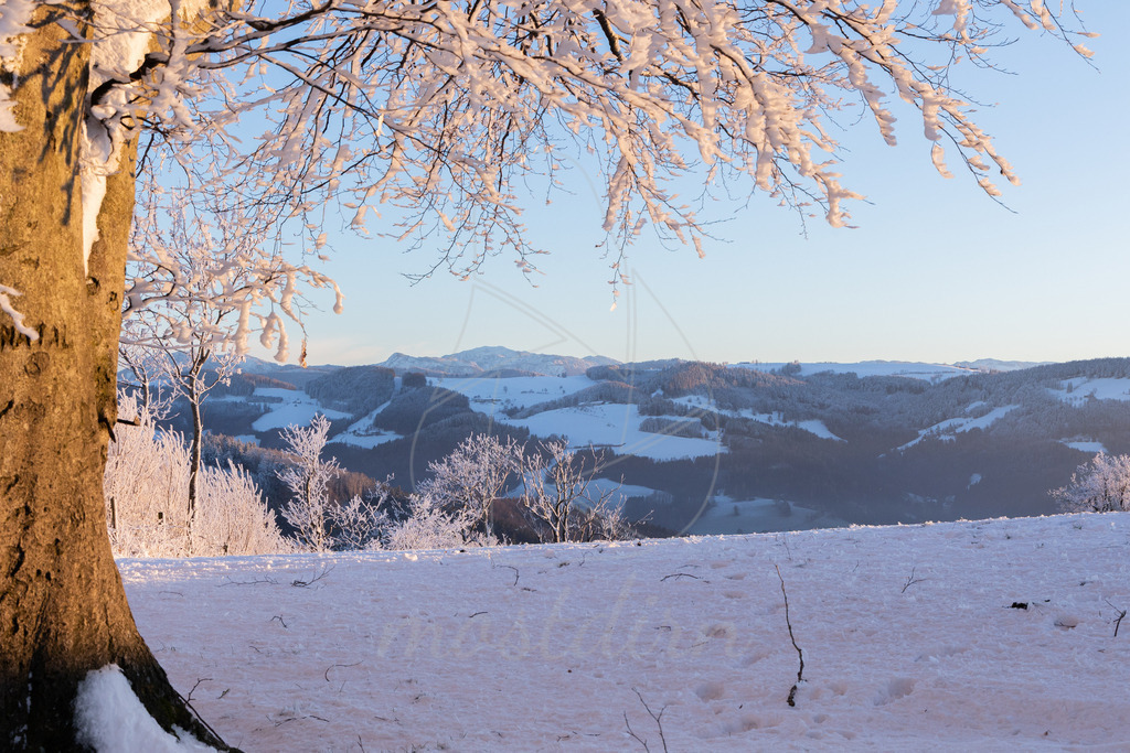 Winter am Hochkogelberg | Ihre Fotografin im Lungau, ihre Fotografin im Mostviertel, Wandbilder Onlineshop, Imagefotos für Ihr Unternehmen,  - Realisiert mit Pictrs.com