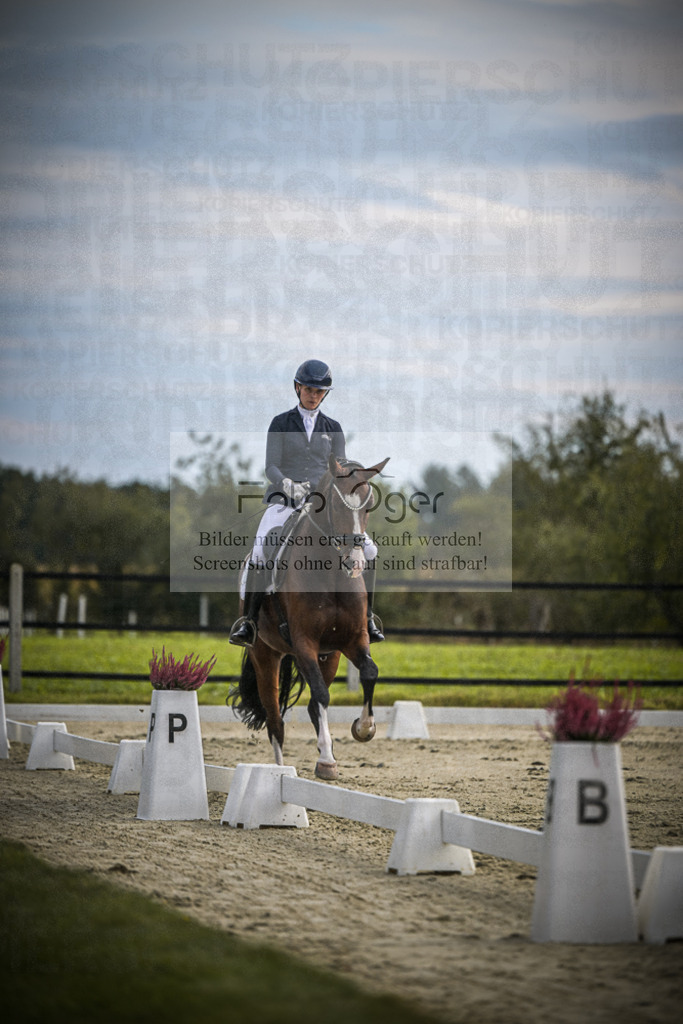 DOS_2248 | Entdecke hochwertige Reitturnierfotos von Foto Oger. Professionell, emotional und authentisch – jetzt Lieblingsmomente im Shop bestellen.Deutschlandweite Turnierfotografie. - Realisiert mit Pictrs.com