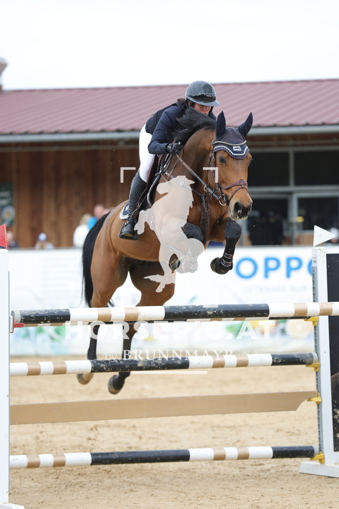 0P6A3832 | Willkommen bei Brunnmayr - Design & Fotografie – Ihrem Spezialisten für Reitturniere und Pferdeveranstaltungen in Oberösterreich, Salzburg und Bayern! Seit über 17 Jahren sind wir leidenschaftlich dabei.