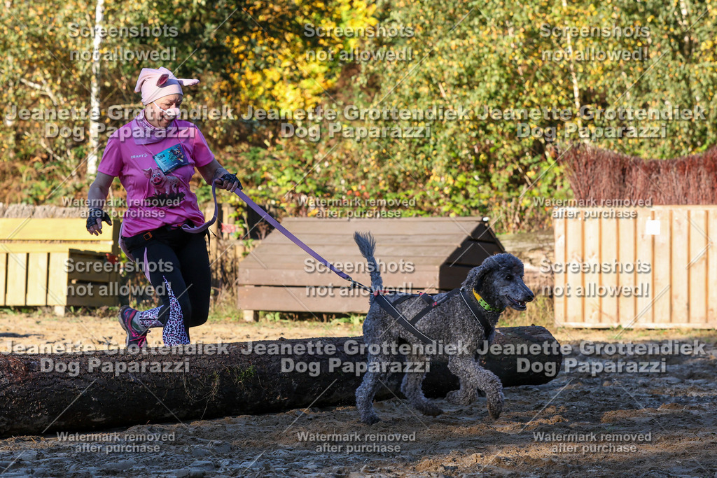 Dog Paparazzi - Strongdog 10-25-1062 | Dog Paparazzi Jeanette Grottendiek Fotografie & Videografie - Realisiert mit Pictrs.com