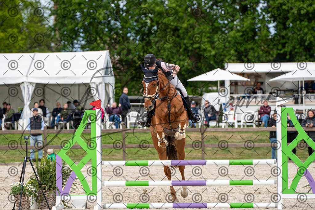 KPT_7370 | andre_photographic