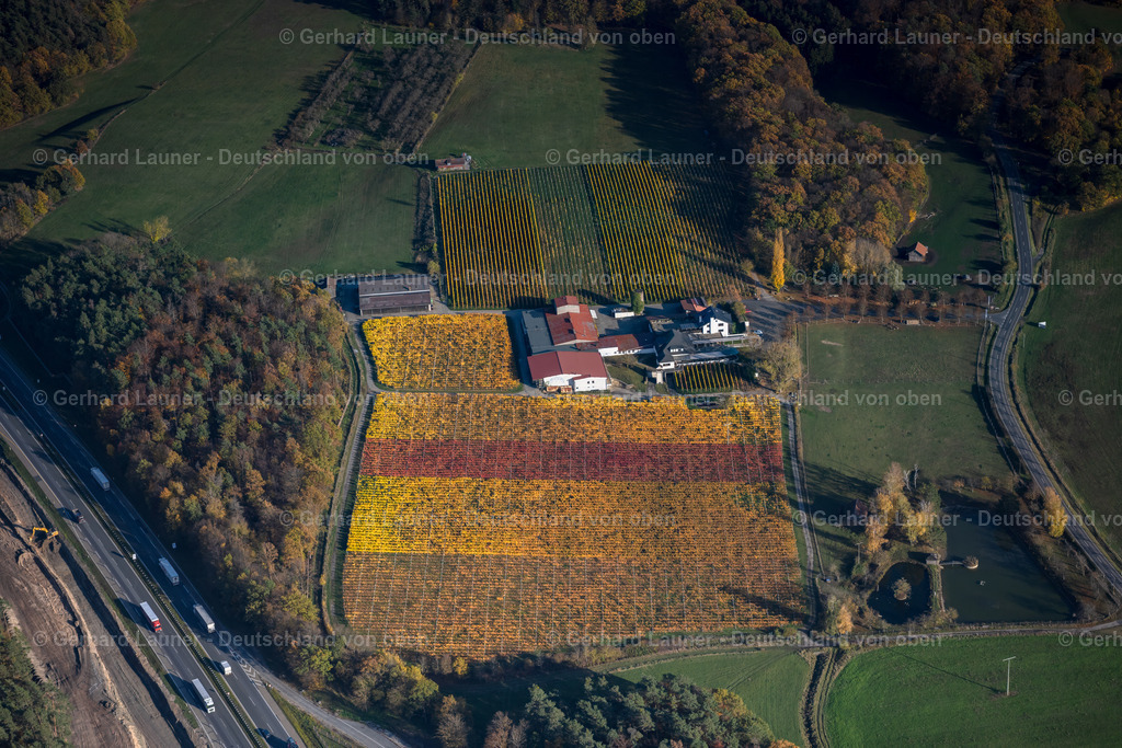 4042654 | Weingut Behringer