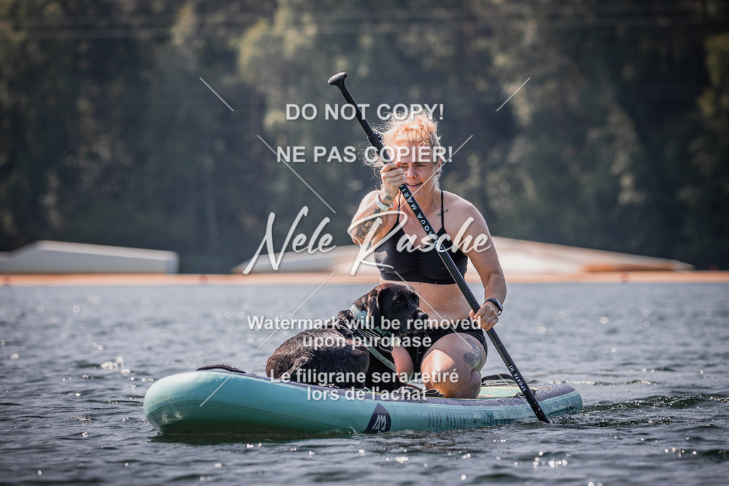 BUHU_SUP_451 | nelerasche
