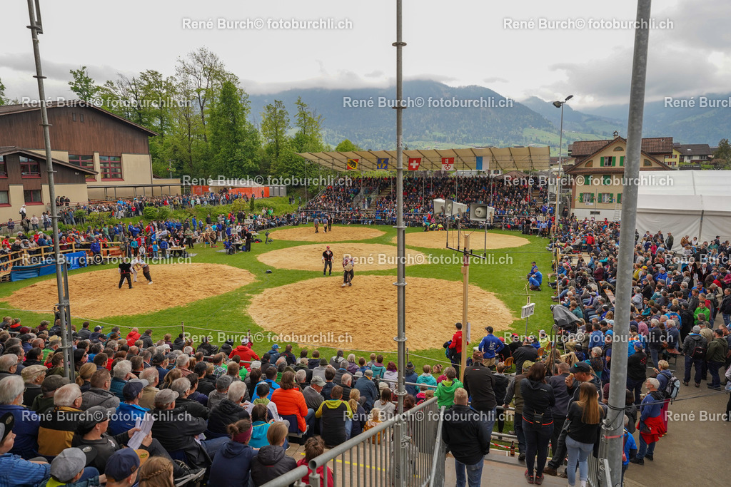 20220508-DSC05335 (2)-3 | René Burch leidenschaftlicher Fotograf aus Kerns in Obwalden.  Hier finden sie Sport, Landschaft und Natur Fotografie.
 - Realisiert mit Pictrs.com
