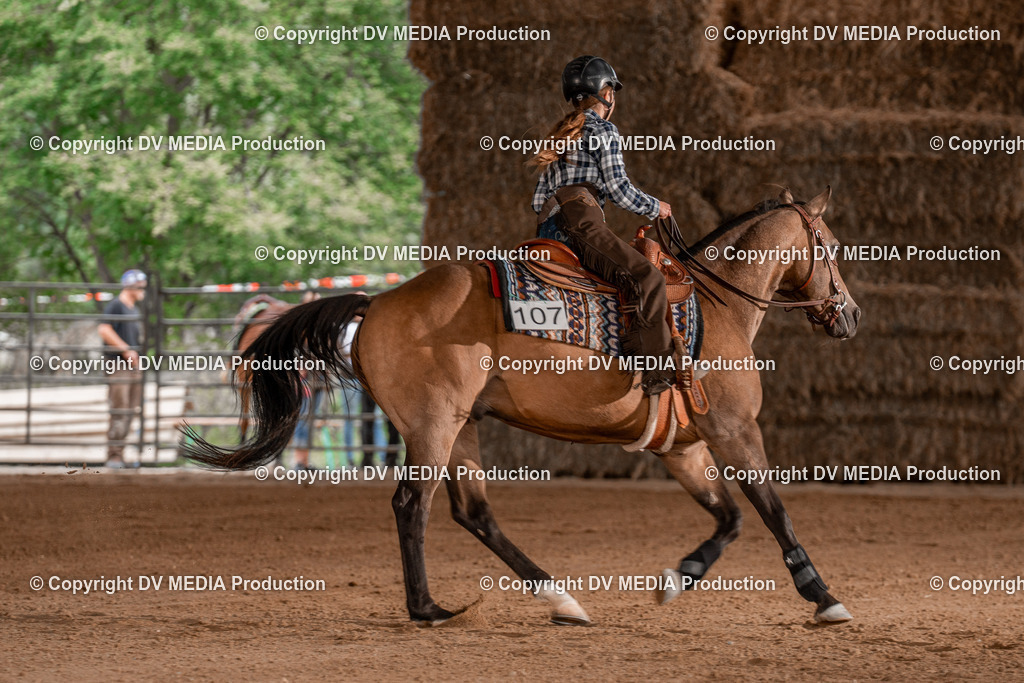 Balingen Tag 2-1107 | dv-media-shop - Realisiert mit Pictrs.com