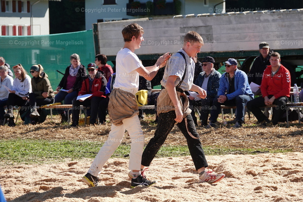 DSC00035 | Schwingen - Realisiert mit Pictrs.com