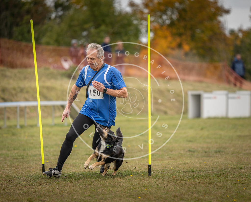 Pfotenfotografie_DV3A6532 | Hundefotografie, Tierfotograf, Pfotenfotografie, Fotoshooting Hund, Hunde Portrait, Hundesport, Hundeportraits, Heideshooting, Hunde, Sportfotograf, Hundefotograf, Turnierhundsport, THS,  - Realisiert mit Pictrs.com