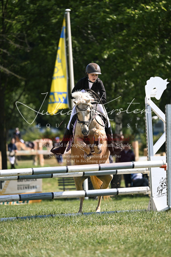 DSC_8827 | Pferde- und Turnierfotografie in Westsachsen. Pferdeportraits, Auftragszeichnungen und intuitive Kunst.