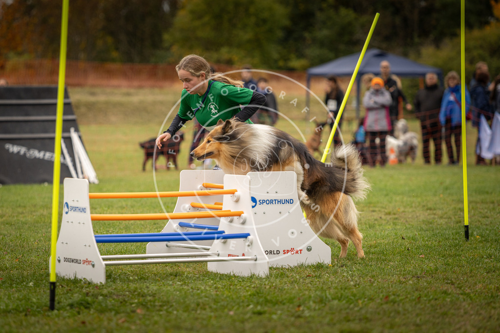 Pfotenfotografie_DV3A6262 | Hundefotografie, Tierfotograf, Pfotenfotografie, Fotoshooting Hund, Hunde Portrait, Hundesport, Hundeportraits, Heideshooting, Hunde, Sportfotograf, Hundefotograf, Turnierhundsport, THS,  - Realisiert mit Pictrs.com