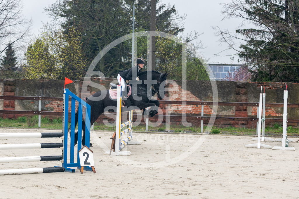 DSC_8183 | sattelsport - Realisiert mit Pictrs.com