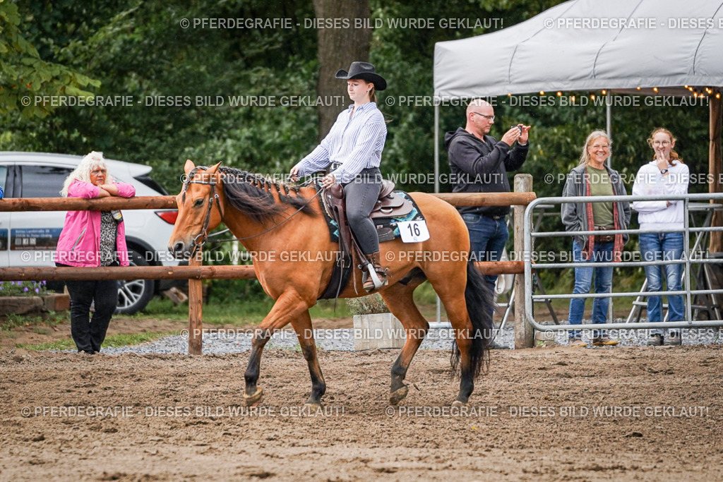 DSC08977 | Pferdegrafie