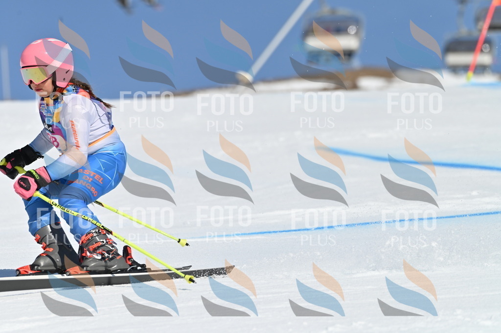 BGV_8320 | holidayphoto