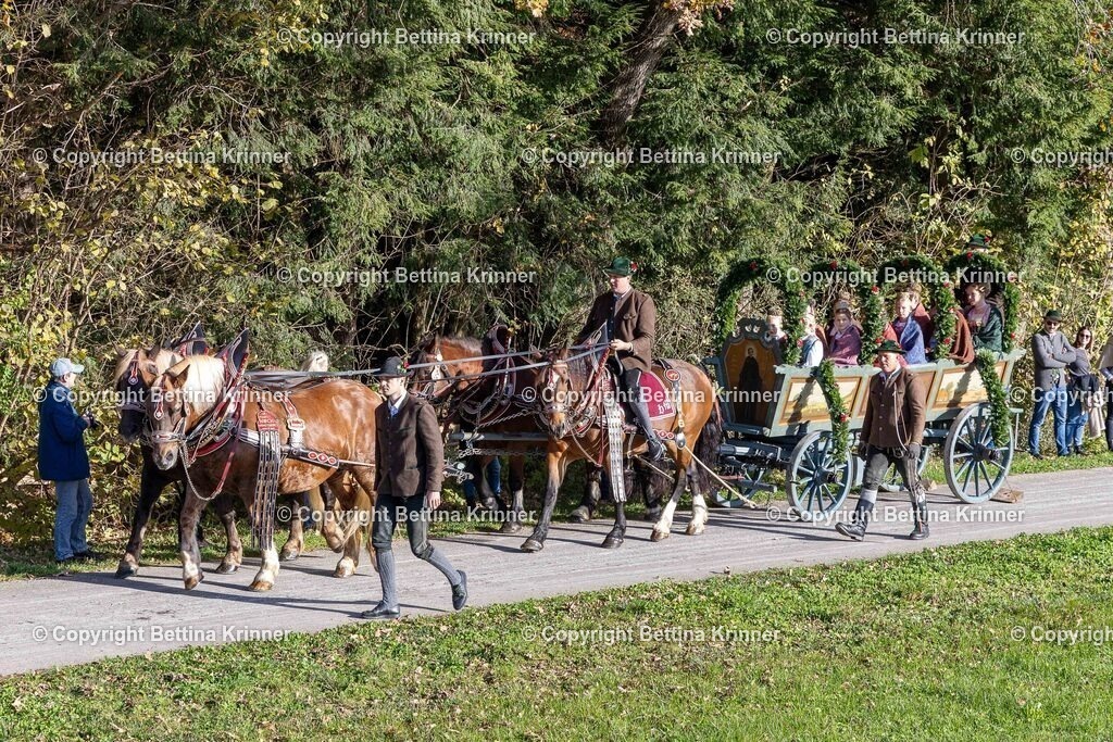 LBT24-197 | foto-bettina-krinner - Realisiert mit Pictrs.com