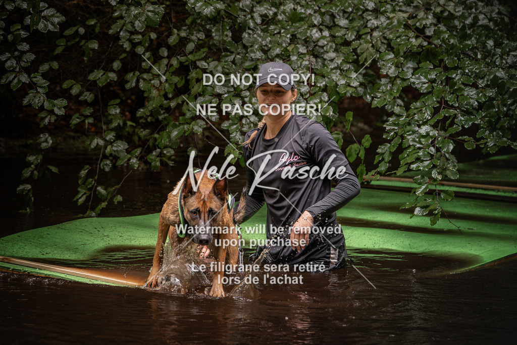 nelerasche_Wingst_Sa1330-1400_87 | nelerasche