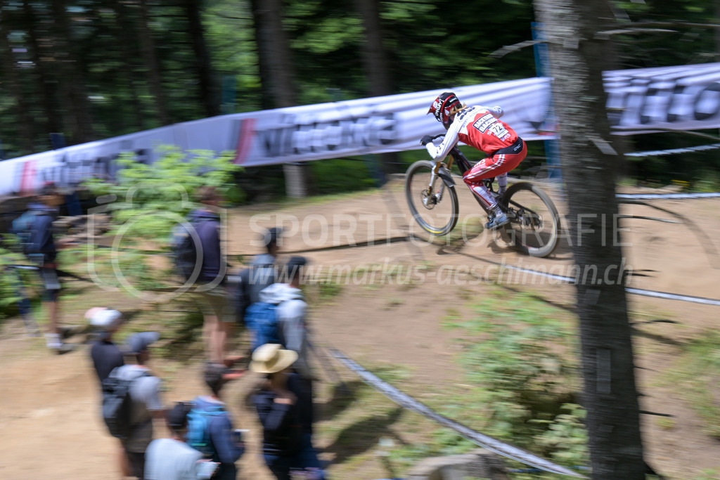 UCI Mountain Bike World Cup Lenzerheide 2022 - Downhill - 9. July 2022 | UCI Mountain Bike World Cup Lenzerheide 2022 - Downhill
Bike Kingdom, Lenzerheide
#72 NIEDERBERGER Noel (SUI)
Bild: Sportfotografie Markus Aeschimann | www.markus-aeschimann.ch - Realisiert mit Pictrs.com
