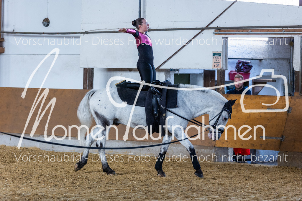 SS-Mini-132 | MomenTaufnahmen Pferdesportfotos