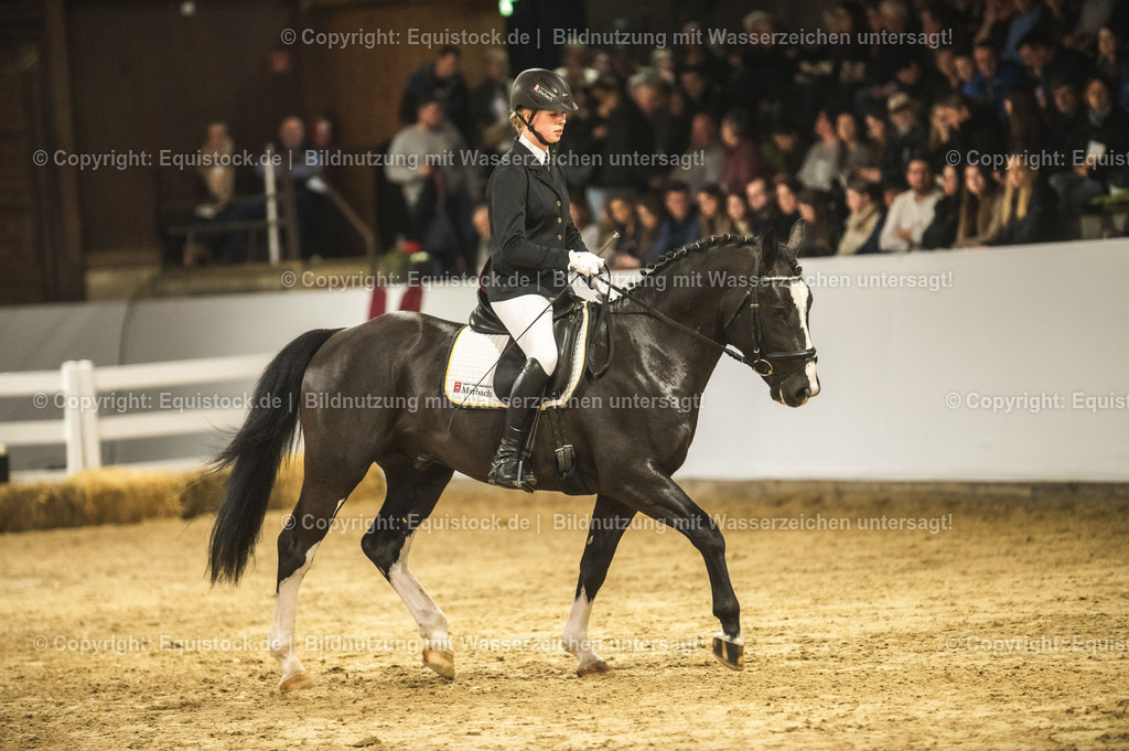 20240302_Hengstvorstellung_Marbach_TOMsPiC_0708-2 | equistock