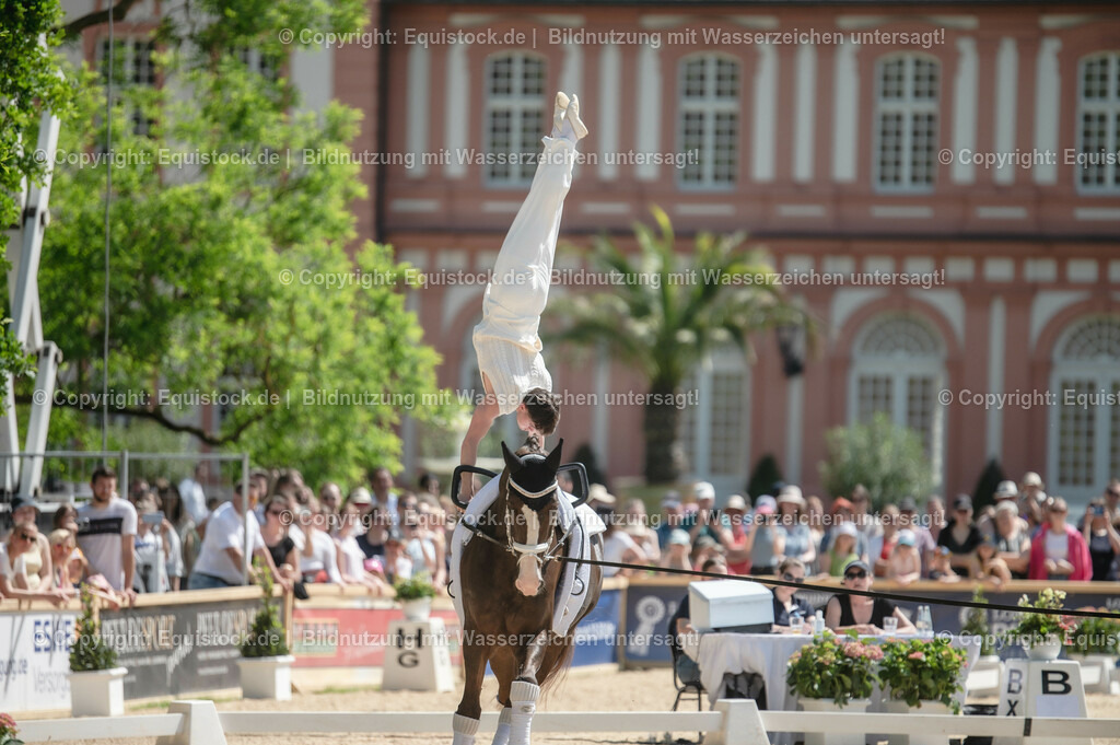20230528_Voltigieren_NASPA_0075 | equistock