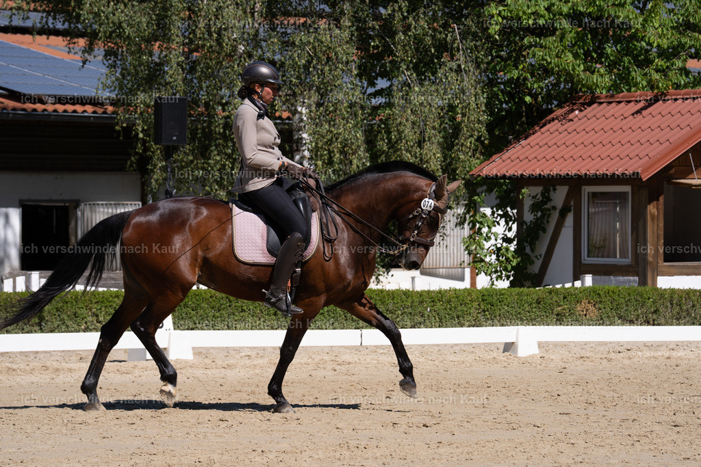 WL_DR_58_sinafilmart_IN07710 | working equitationturnier fotograf videograf stoibphotography marixx film working equitation deutschland reitsport turnierfotografie eventfotografie equestrian events