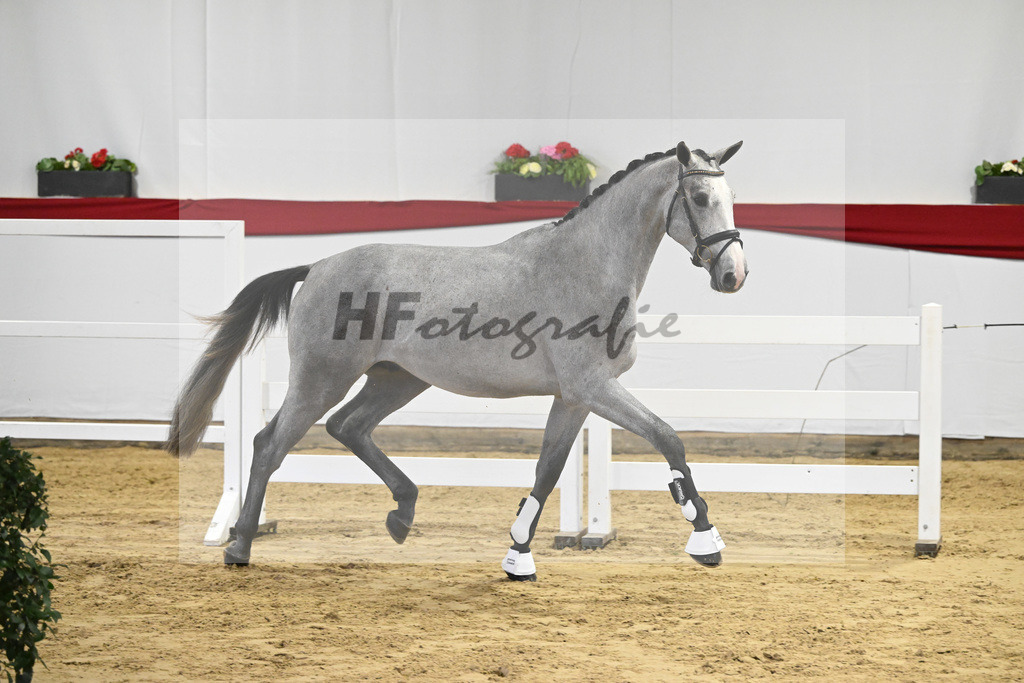 Kat-Nr. 46 v. Clarimo_Hahn u Schleicher_63221127 | hf-fotografie - Realisiert mit Pictrs.com