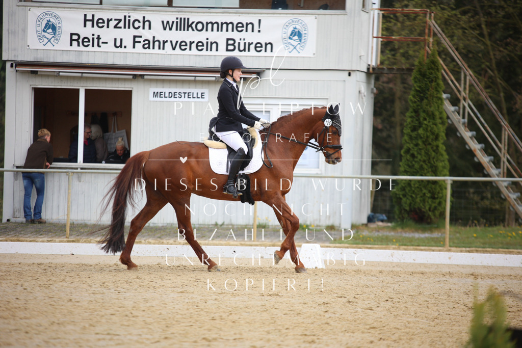 IMGT6681 | pl-fotografie