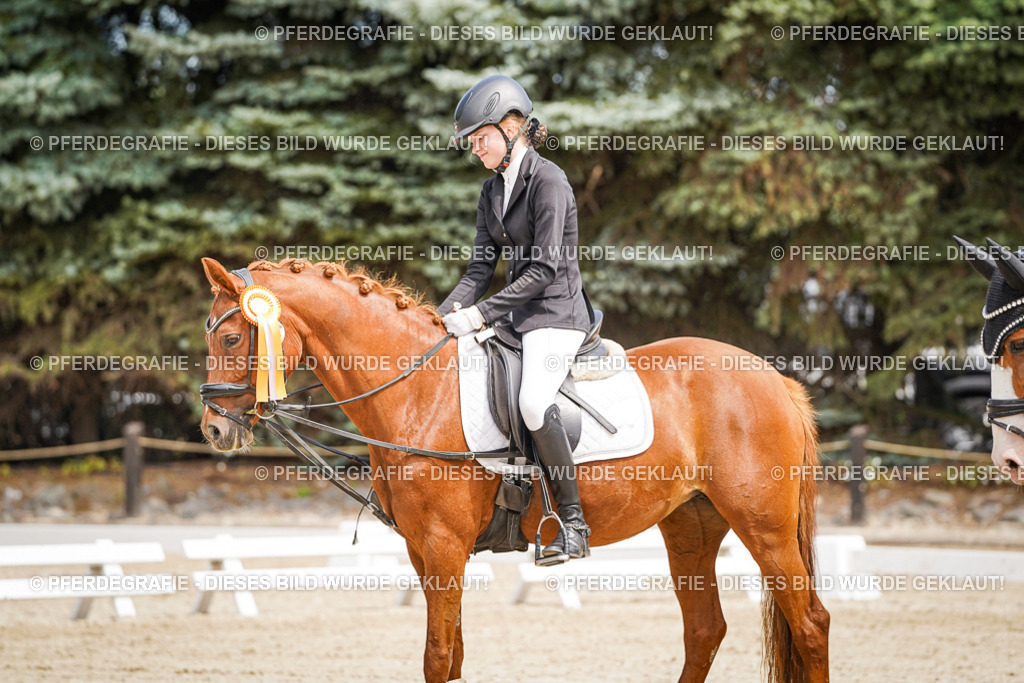 DSC02630 | Pferdegrafie