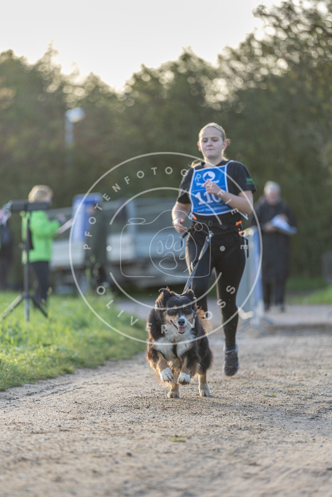 Pfotenfotografie.de_DV3A2541 | Hundefotografie, Tierfotograf, Pfotenfotografie, Fotoshooting Hund, Hunde Portrait, Hundesport, Hundeportraits, Heideshooting, Hunde, Sportfotograf, Hundefotograf, Turnierhundsport, THS, canicross - Realisiert mit Pictrs.com