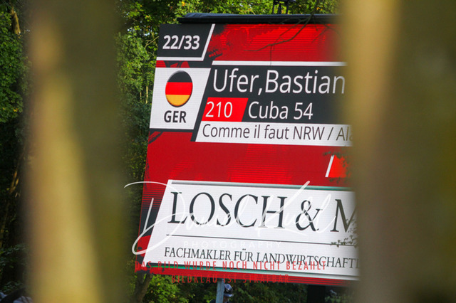 DKP42595 | Turniersportfotografie; Pferdefotografie; Dressurfotografie